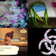 Clockwise from top left: Illustration - Benjamin Currie (Gizmodo); Getty; Screenshot - Victoria Song (Gizmodo); Illustration - Elena Scotti (Photos: Getty Images)